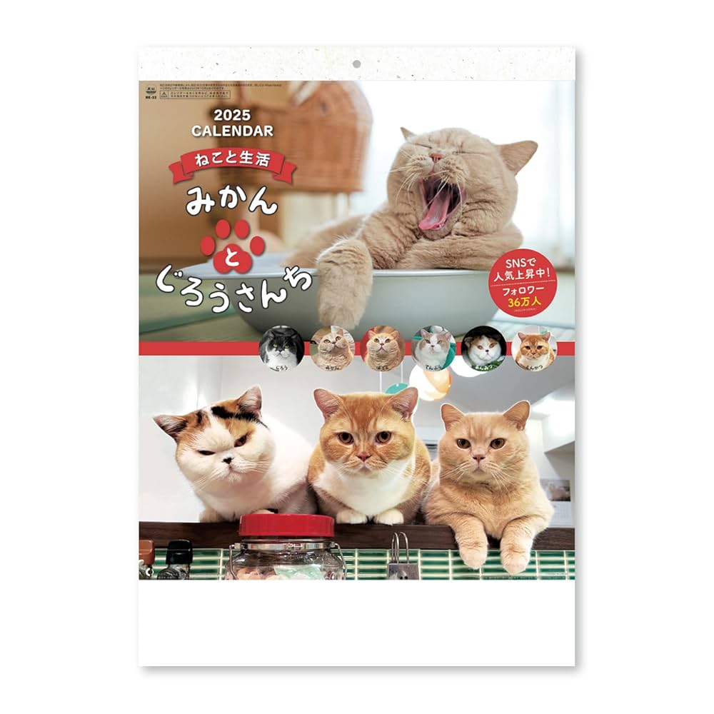 Amazon | 新日本カレンダー 2025年 カレンダー 壁掛け ねこと